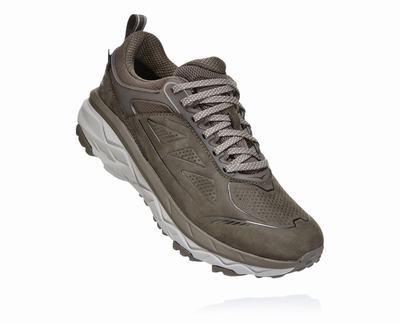 Hoka One One Challenger Low GORE-TEX Női Terepfutó Cipő - Barna [H3456-038]